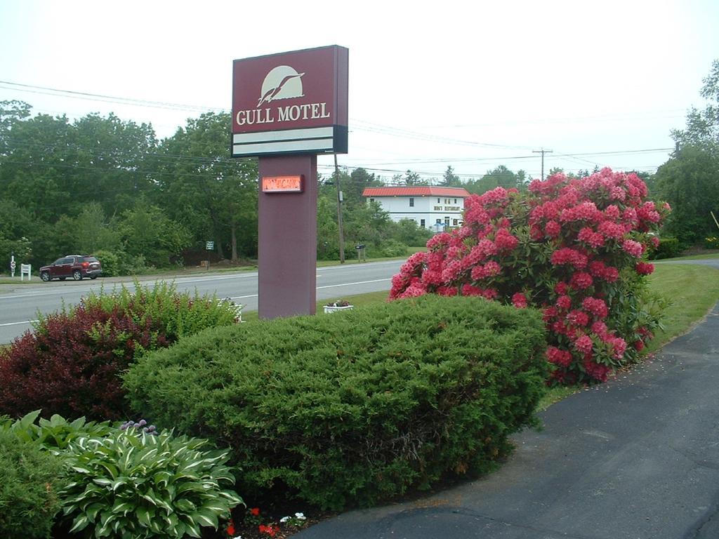 The Gull Motel, Belfast Exterior photo